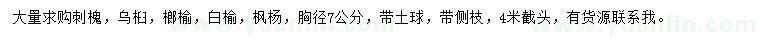 求購刺槐、烏桕、榔榆等