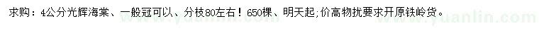 求購4公分光輝海棠