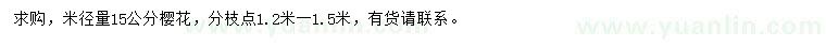 求購米徑15公分櫻花