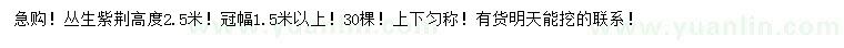 求購冠幅1.5米以上叢生紫荊