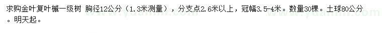 求購胸徑12公分金葉復(fù)葉槭