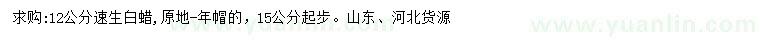 求購12公分速生白蠟
