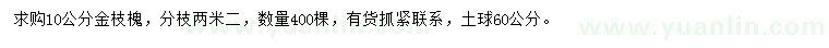 求購(gòu)10公分金枝槐