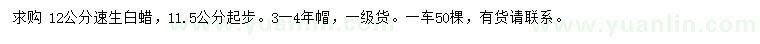 求購12公分速生白蠟