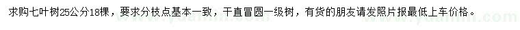 求購25公分七葉樹
