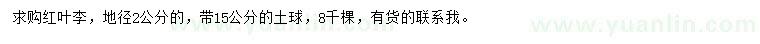 求購(gòu)地徑2公分紅葉李