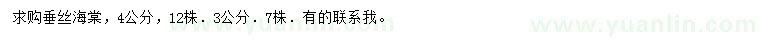 求購3、4公分垂絲海棠