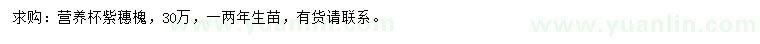 求購(gòu)紫穗槐