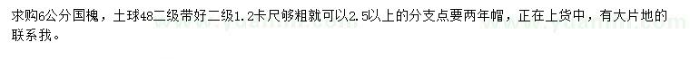 求購6公分國槐
