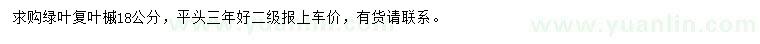 求購18公分綠葉復(fù)葉槭