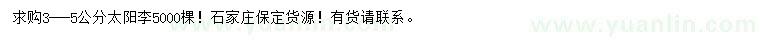 求購3-5公分太陽李