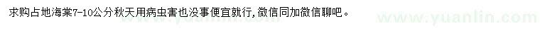 求購7-10公分海棠