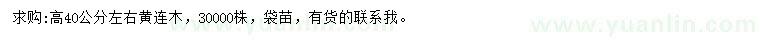 求購高40公分左右黃連木