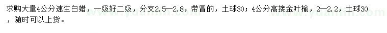 求購4公分速生白蠟、高接金葉榆