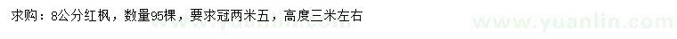 求購8公分紅楓
