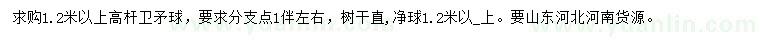 求購1.2米以上高桿衛(wèi)矛球