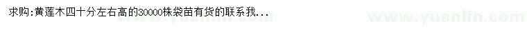 求購(gòu)高40公分黃蓮木