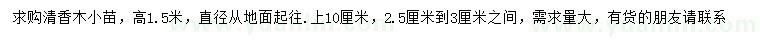 求購高1.5米清香木