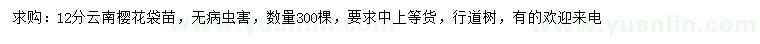 求購12分云南櫻花
