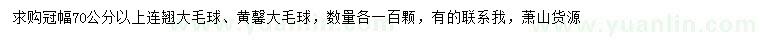 求購冠幅70公分以上連翹球、黃馨球
