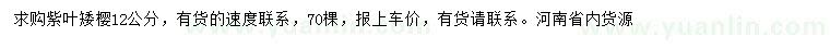求購12公分紫葉矮櫻