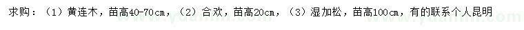 求購黃連木、合歡、濕加松