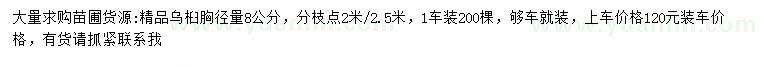 求購胸徑8公分烏桕
