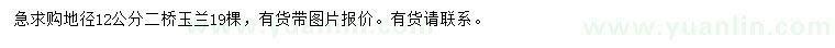 求購地徑12公分二喬玉蘭