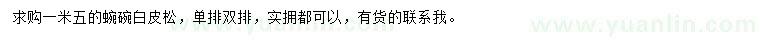 求購(gòu)1.5米白皮松