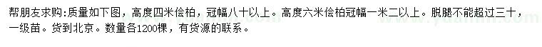 求購高4米儈柏
