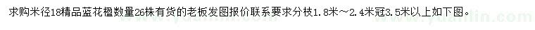 求購米徑18公分藍(lán)花楹
