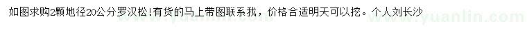 求購地徑20公分羅漢松