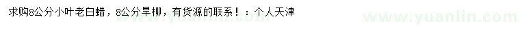 求購8公分小葉老白蠟、旱柳