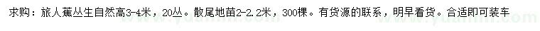 求購高3-4米旅人蕉、高2-2.2米散尾