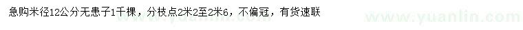 求購米徑12公分無患子
