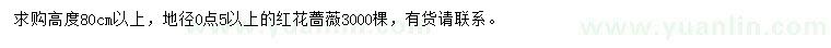 求購高80公分以上紅花薔薇