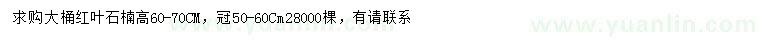 求購(gòu)高60-70公分紅葉石楠