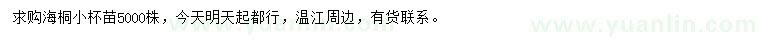 求購(gòu)海桐