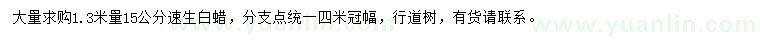 求購1.3米量15公分速生白蠟