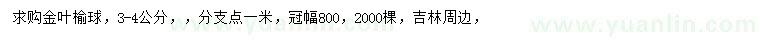 求購3-4公分金葉榆球