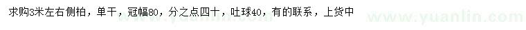 求購(gòu)3米左右側(cè)柏