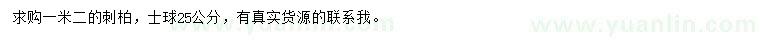 求購1.2米刺柏