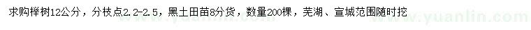 求購12公分櫸樹