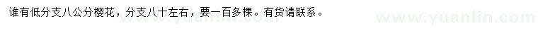 求購8公分櫻花