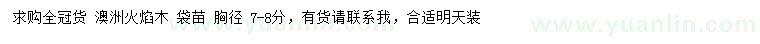 求購胸徑7-8公分澳洲火焰木
