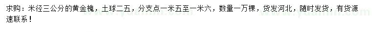 求購米徑3公分黃金槐