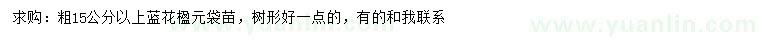 求購粗15公分以上藍花楹