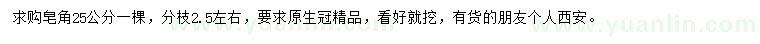 求購25公分皂角