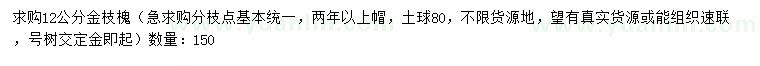 求購(gòu)12公分金枝槐