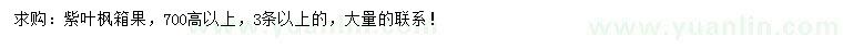 求購(gòu)紫葉楓箱果